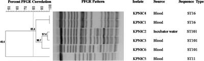 Outbreak of colistin resistant, carbapenemase (blaNDM, blaOXA-232) producing Klebsiella pneumoniae causing blood stream infection among neonates at a tertiary care hospital in India